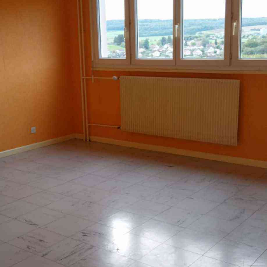 Location : Appartement 4 pièces 74 m2 – DELLE - Photo 1