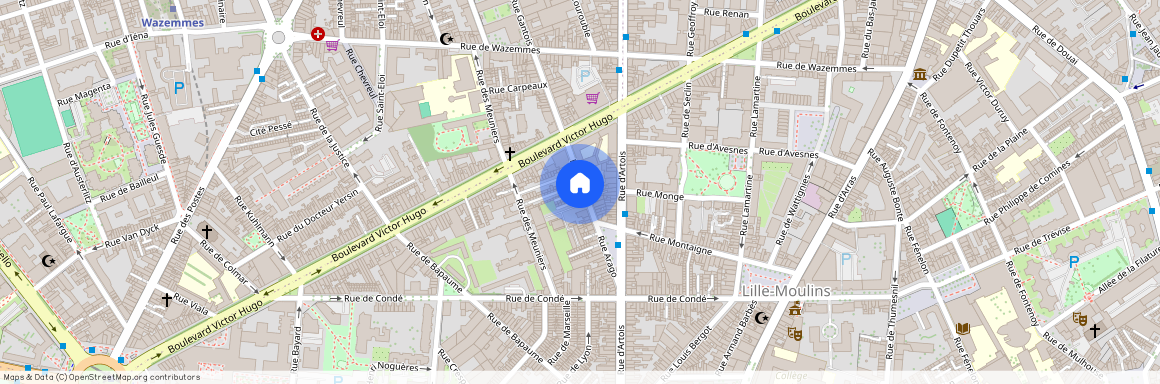 16 Rue Arago, 59000 Lille