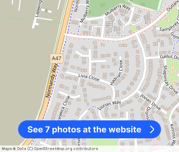 Livia Close, Hinckley, LE10 - Photo 1