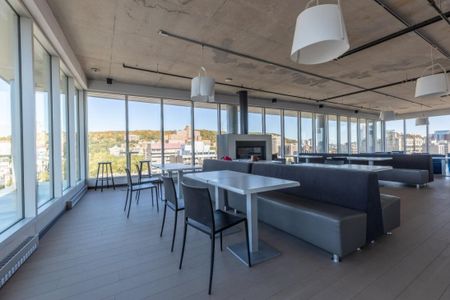 1414 Rue Chomedey, app.530, H3H 0A2, H3H 0A2, Montréal - Photo 4