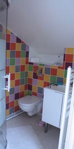 Location Appartement 1 pièce 18m² VILLERS LES NANCY 54600 - Photo 3