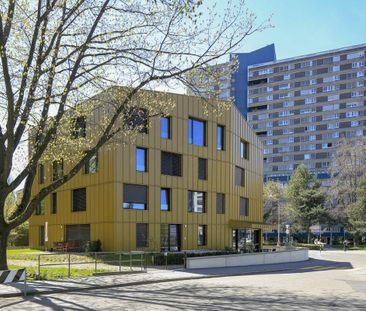 1 Zimmer Wohnung - Photo 4