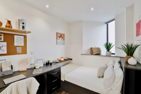 Bronze Studio Plus - Photo 2