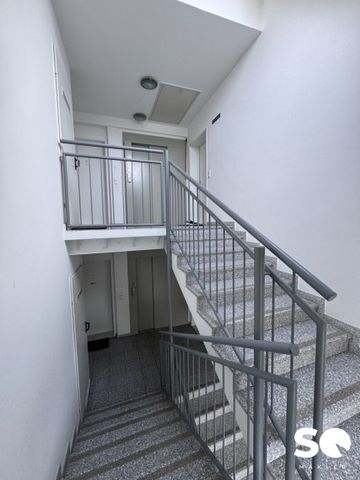 # SQ - HELLE, RUHIGE 2 ZIMMER DG-WOHNUNG INKL. TERRASSE - NÄHE RIVERSIDE - 1230 WIEN - TAG DER OFFENEN TÜR: 31.10.2025 14:00-17:00 - Photo 5