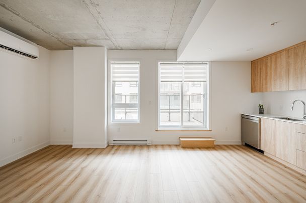 8510 Rue Jean-Nicolet, #E-502 - Photo 1