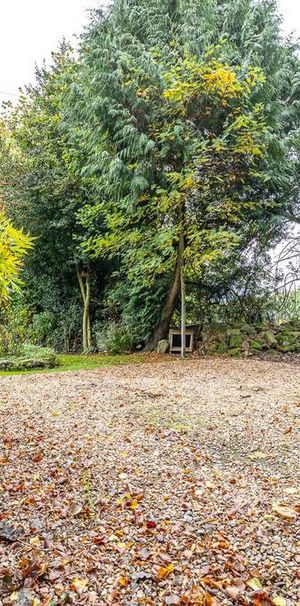 1 bedroom cottage to rent - Photo 1