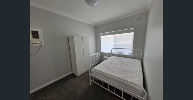 Fully Furnished Gem + 3 Bay Shed - Photo 1