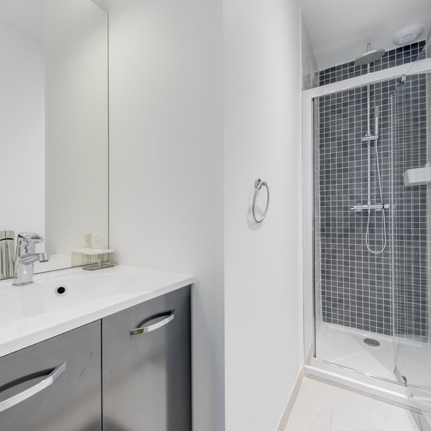 LACASSAGNE Roommate 4 Bedrooms at Lyon 3e - Photo 2