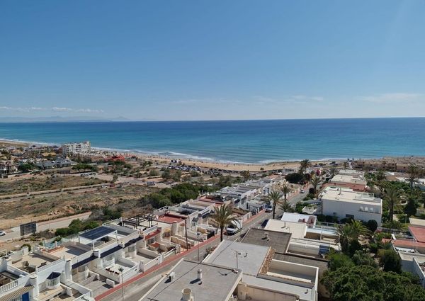 1 room luxury Apartment for rent in Torrevieja, Spain