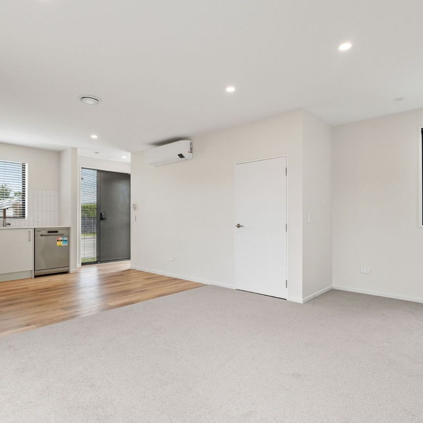 355 Barrington Street, Spreydon - Photo 1