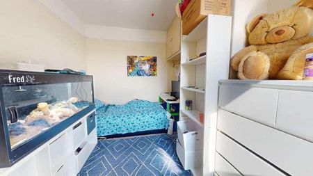 Lisvane Street, Cathays, Cardiff, CF24 - Photo 5