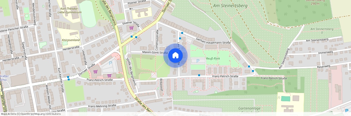 Leo-Tolstoi-Straße 12, 07546 Gera