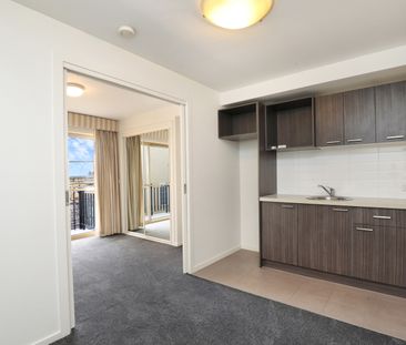 305/2-9 Finlay Place, Carlton VIC 3053 - Studio For Rent | Domain - Photo 4