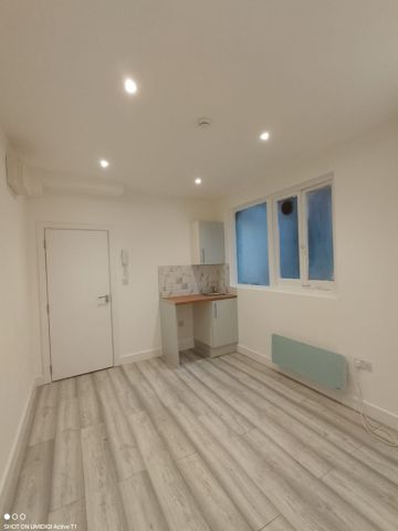 Studio Flat, Gleneldon Road, SW16 - Photo 5