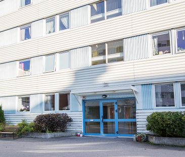Wåhlinsgatan 3 A, 94161, Piteå - Foto 3
