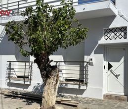 Μονοκατοικία για ενοικίαση - Ερέτρια, - Φωτογραφία 4