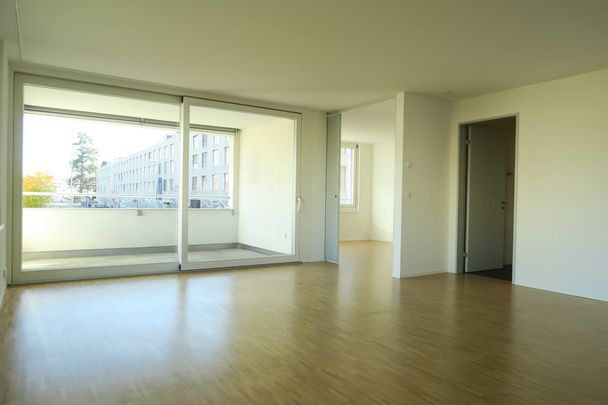 2.5 Zimmer, 53 m², EG - Foto 1