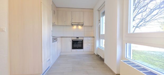 Cozy 4-room apartment on the ground floor in Langenthal - Foto 1
