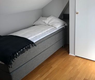 S:t Klemensgatan, Visby - Foto 3