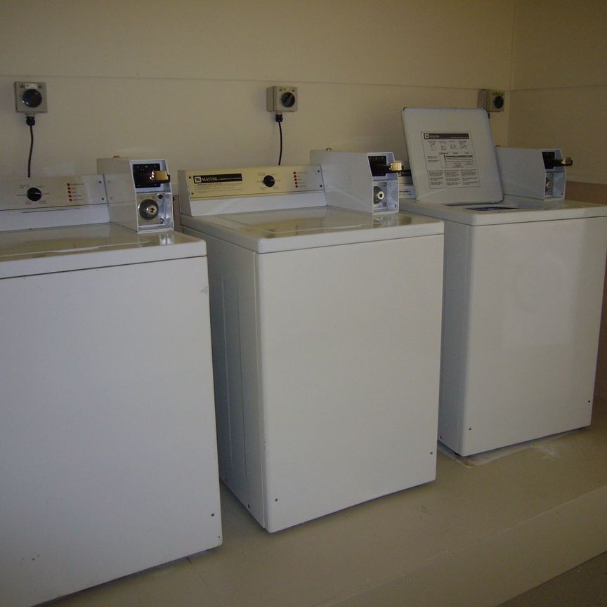 Berhampore Boarding House - Photo 1