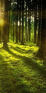 Ingatorpsvägen 1, Rumskulla - Foto 4