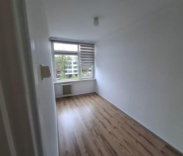 Jacob van Ruysdaelstraat - Foto 5