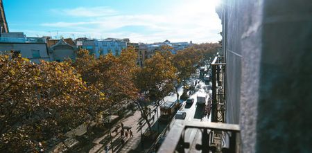 Rambla de Sant Josep, Barcelona, Catalonia 08002 - Photo 2