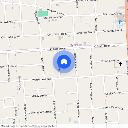 11 Olive Avenue, SA 5083, Broadview