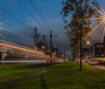 Vuistbijl 39 - Photo 3