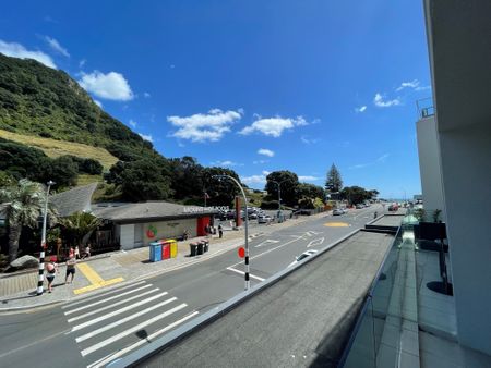 So Close To Everywhere - Mt Maunganui - Photo 3