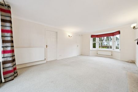 Ramsay Drive - Photo 2