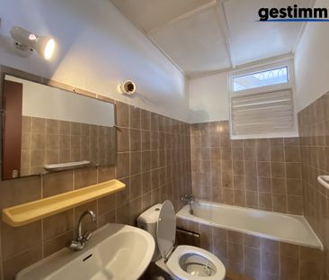 Location Appartement 2 pièces 41m² CAYENNE 97300 - Photo 2