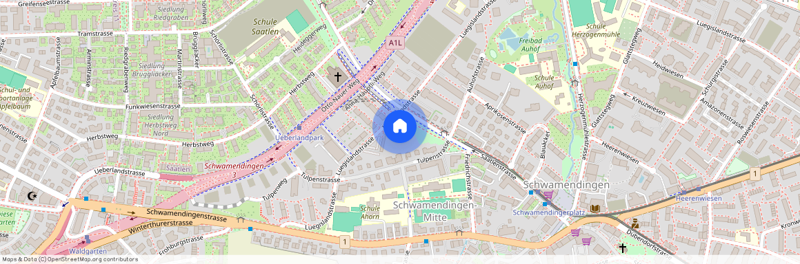 Luegislandstr, 56, 8051 Zürich