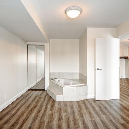 Appartement 3 ½ à louer Sainte-Foy / Sillery février 2026 - Photo 4