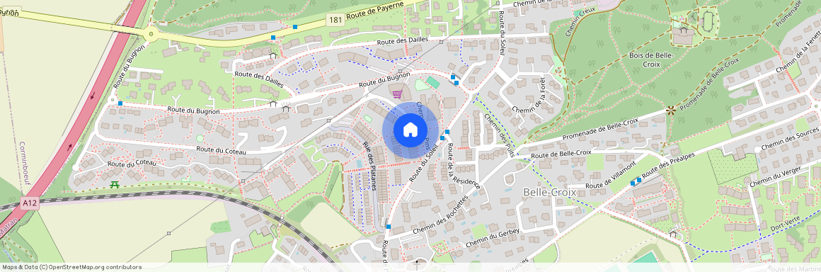 1752, Villars-sur-Glâne, Chemin Des Pins, 1