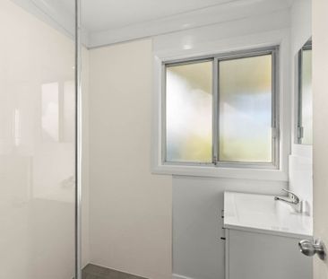 Newly Renovated - Photo 3