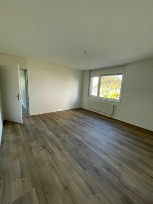 Chemin des Carabiniers 5, 3.5 pièces au 2ème Nord rénové - Photo 1