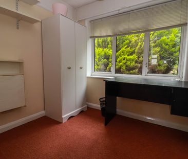 3 bedroom house to rent - Photo 3