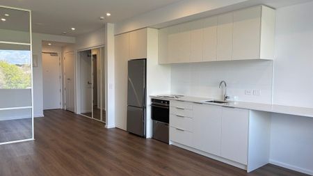 Brand new apartment with beautiful view of park - Photo 5