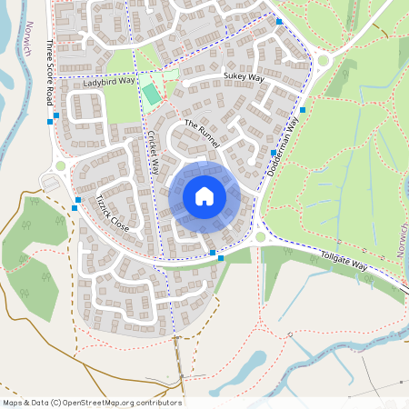 Speedwell Way, Three Score, Norwich, NR5