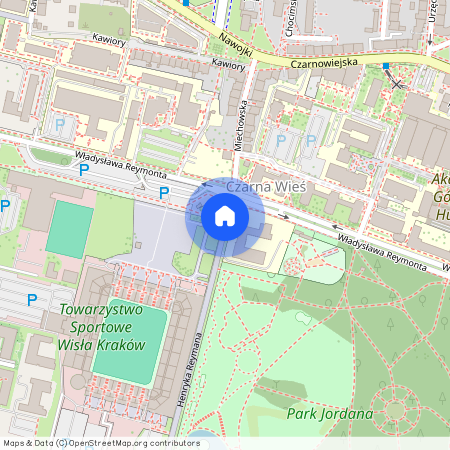 ul. Henryka Reymana, Czarna Wieś, Krowodrza, Kraków, małopolskie