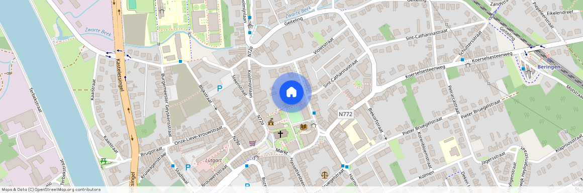 Graaf Van Loonstraat, 12 12, A1, 3580, Beringen