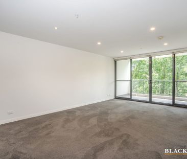 241/1 Mouat Street, Lyneham ACT 2602 - Apartment For Rent | Domain - Photo 5