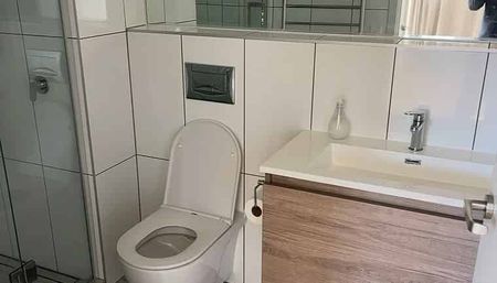 Kepa Road Apt in Mission Bay! - Photo 4