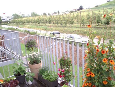 3 Zimmer, 140 m², 1. Stock - Photo 3