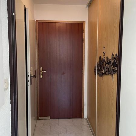 Location Appartement 1 pièce 18m² LE BOURGET DU LAC 73370 - Photo 3
