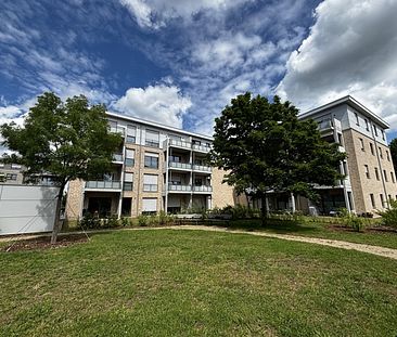 Attraktive 3-Zimmerwohnung mit Terrasse in Verden - Photo 2