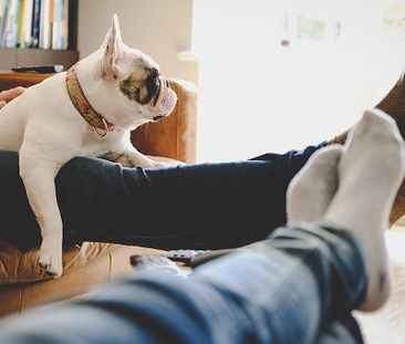 Spacious Apartments for Rent in Côte-des-Neiges (NDG), Montréal - Photo 6