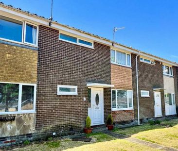 3 bedroom terraced house to rent - Photo 5