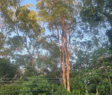 Everton Hills - Photo 6